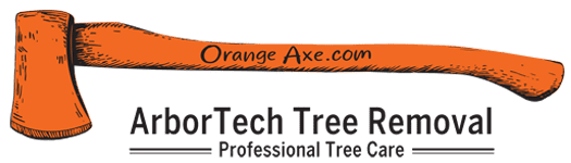 orange-ax-logo